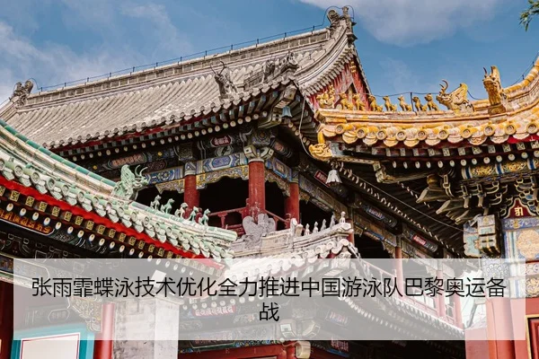 zhang-yu-fei-die-yong-ji-shu-you-hua-quan-li-tui-jin-zhong-guo-you-yong-dui-ba-li-ao-yun-bei-zhan-3-627.jpg